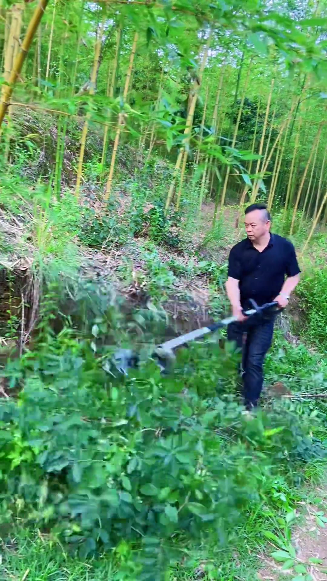 在除草(在除草剂的诱导下,微生物种群会发生哪些变化)