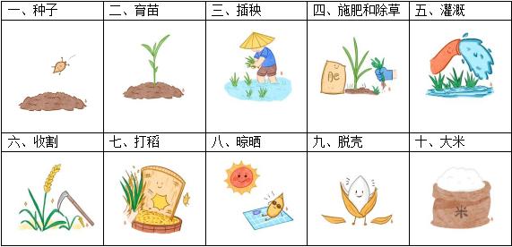 一年种几次水稻(一年种几次水稻,分别在什么时间)