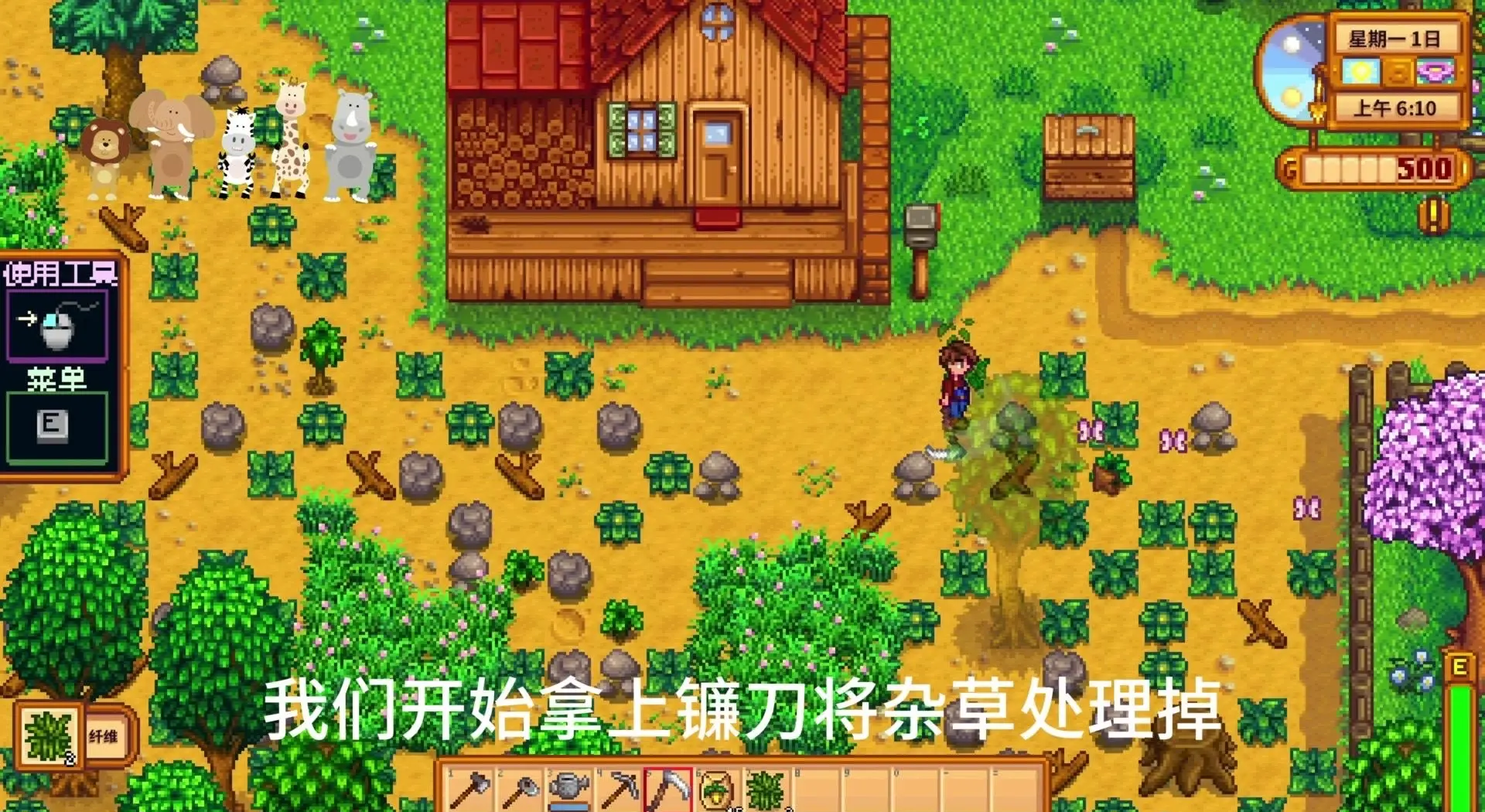 星露谷水稻怎么种(星露谷水稻种子什么时候买)