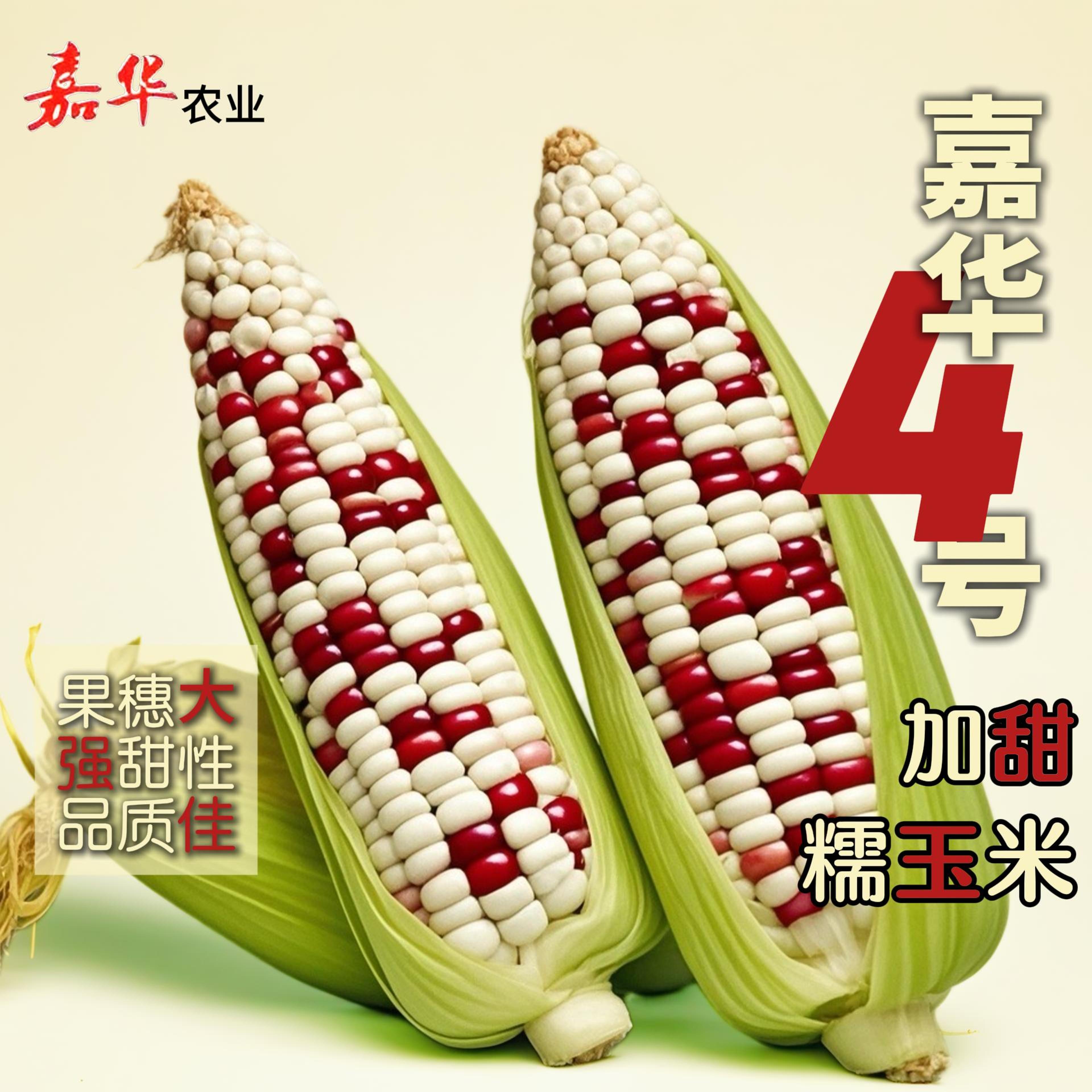什么玉米种子最甜最糯(什么玉米种子最甜最糯呢)