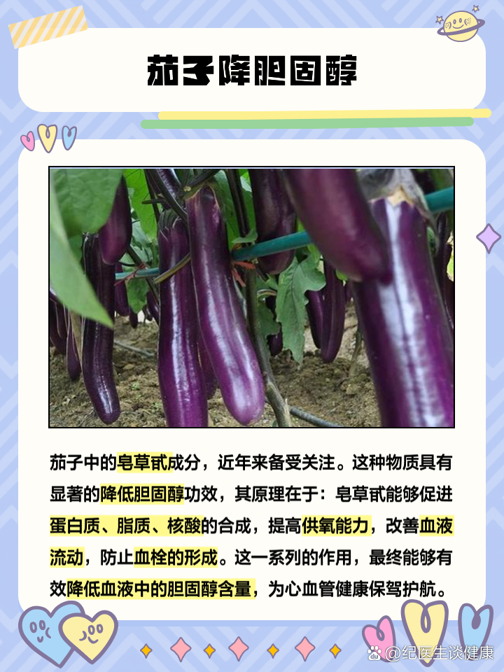 茄子的习性及种植方法(茄子的种植时间,生长环境是什么样的)