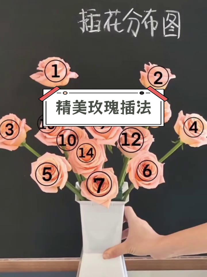 玫瑰花插土里能活吗(玫瑰花插土里能活吗图片)