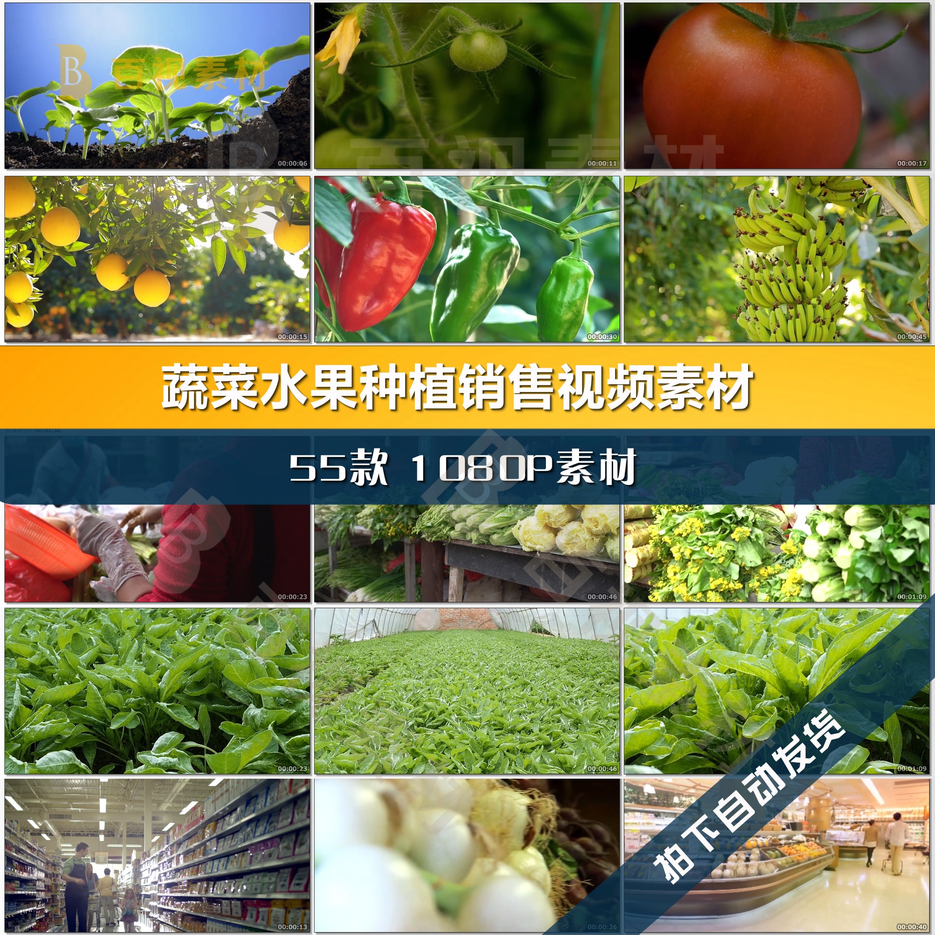 有机生态蔬菜(有机菜和生态菜有什么区别)