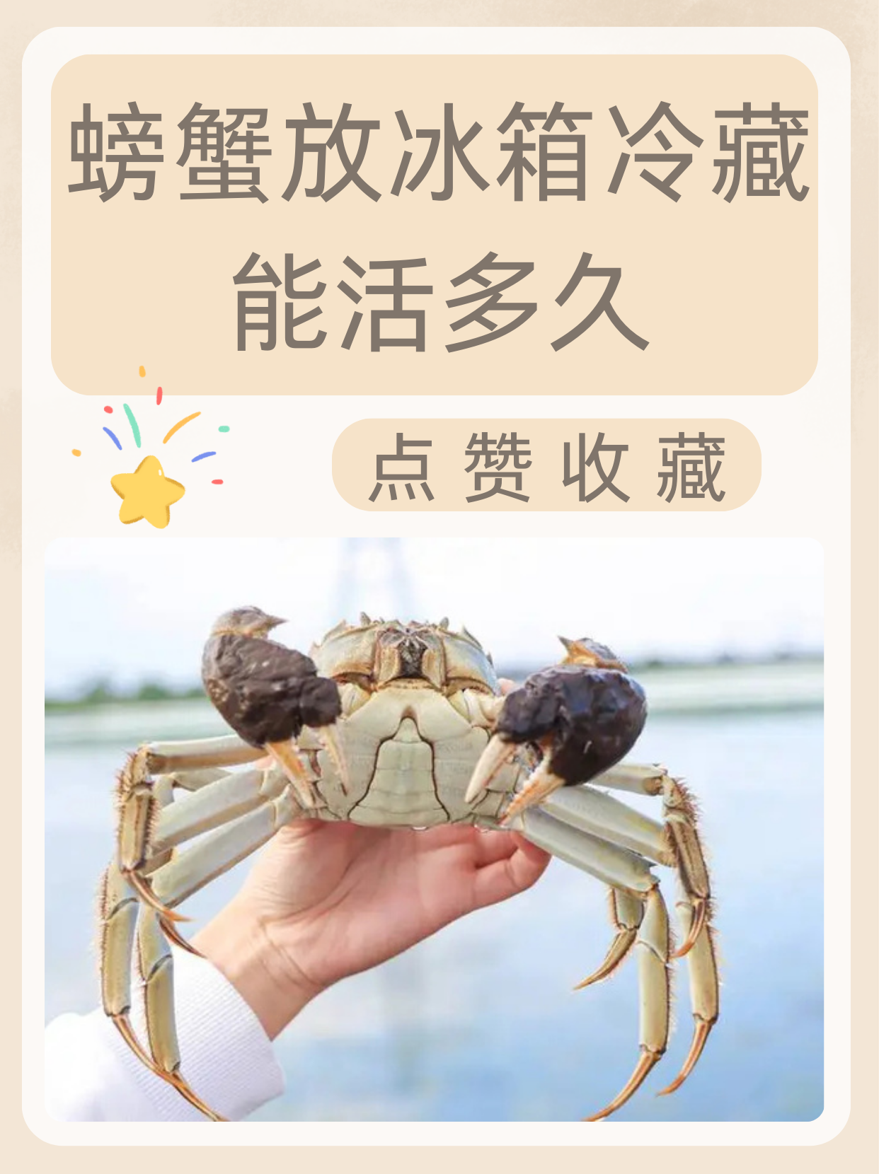大闸蟹怎么养殖技术(大闸蟹养殖技术与方法培训视频)
