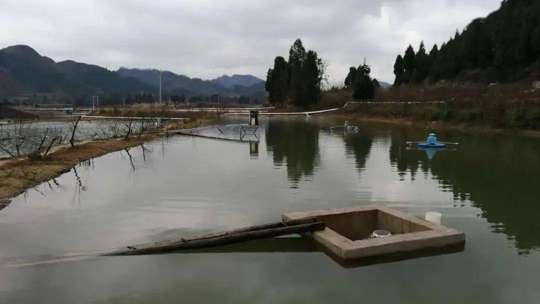 水产养殖南方(水产养殖南方还是北方)
