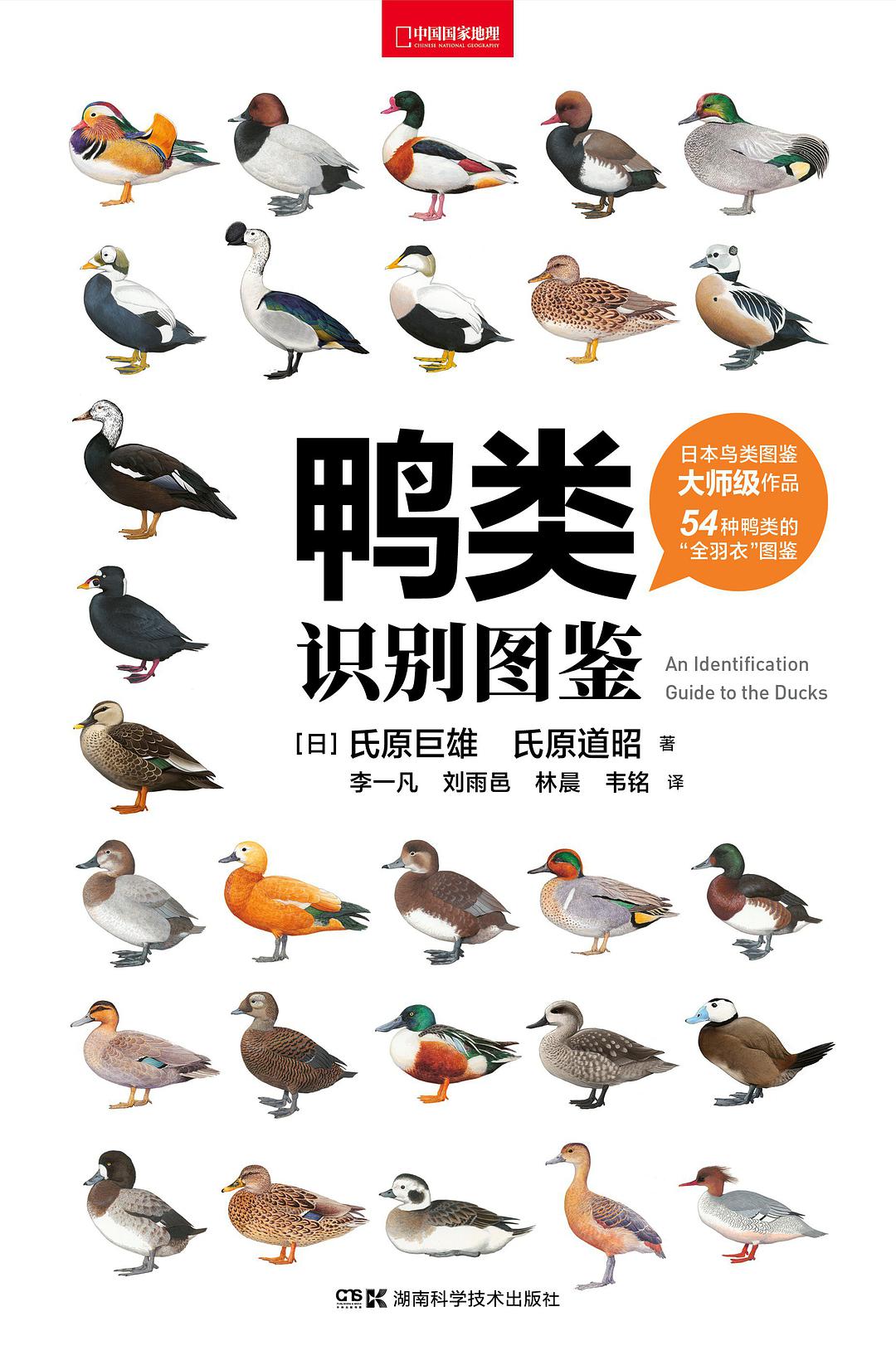 养鸭品种的选择(养鸭品种的选择视频讲解)