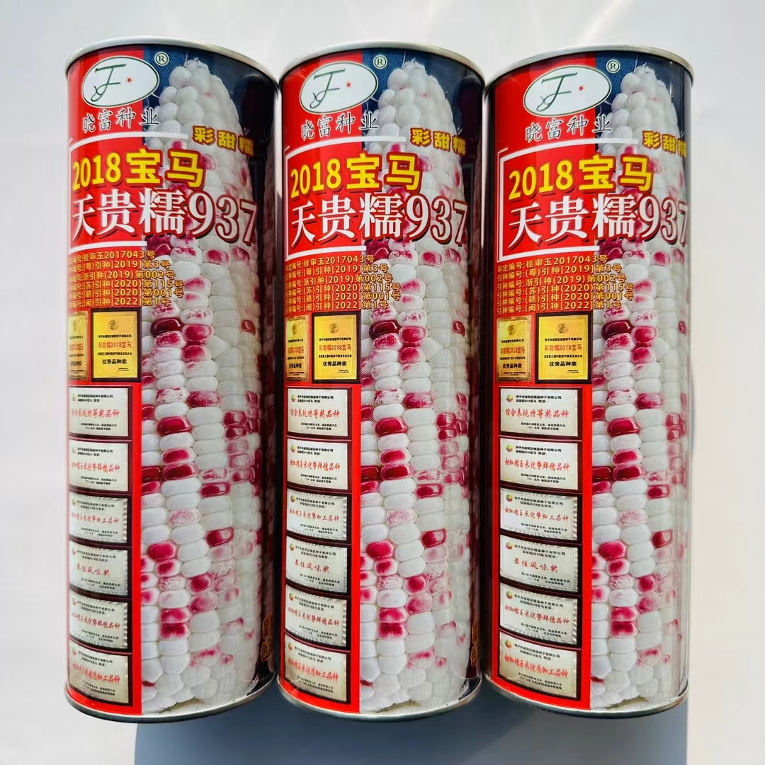 糯玉米种孑早熟(早熟糯玉米栽培技术)