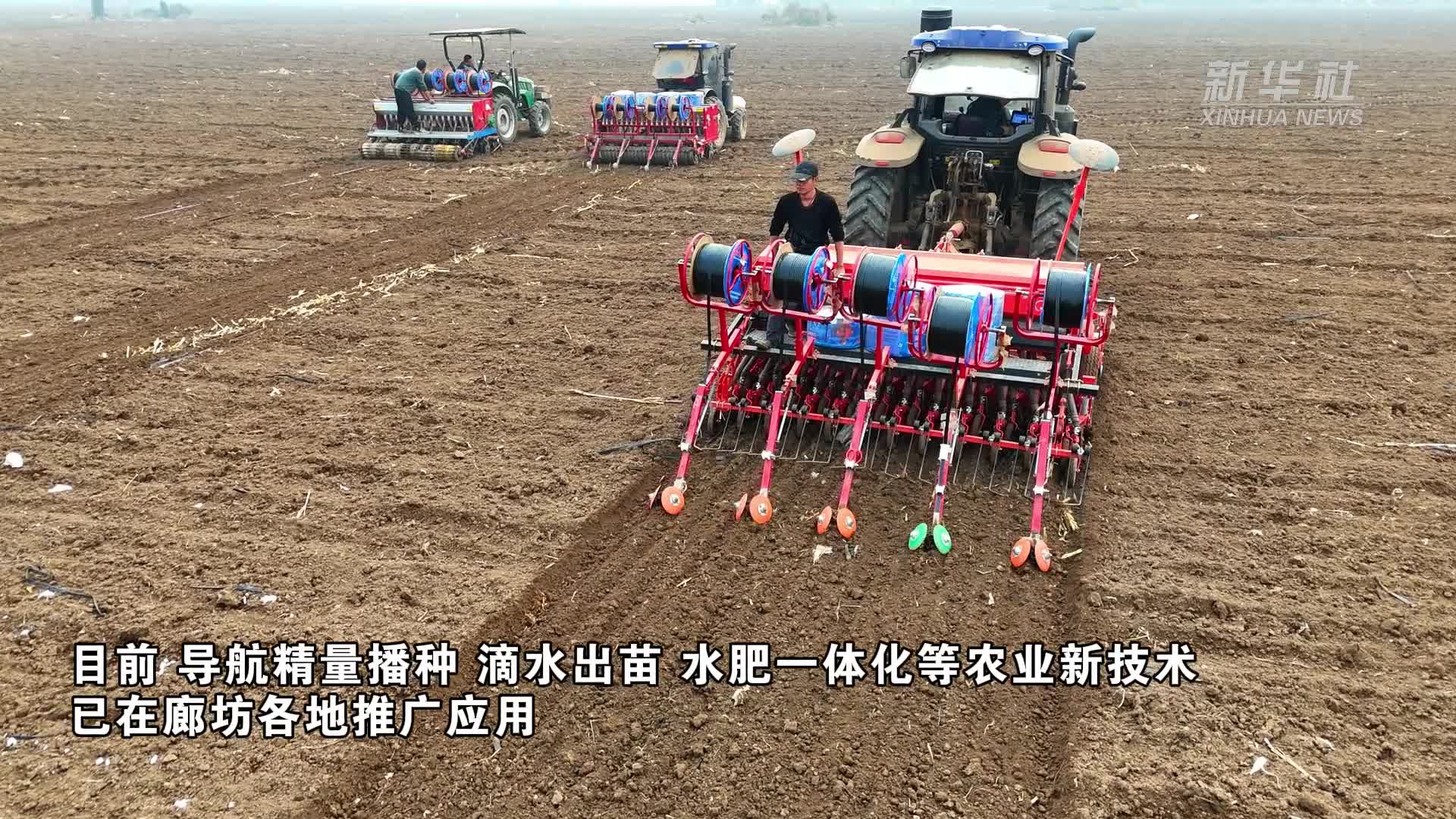 玉米的播种方式(玉米的播种方式有哪些)