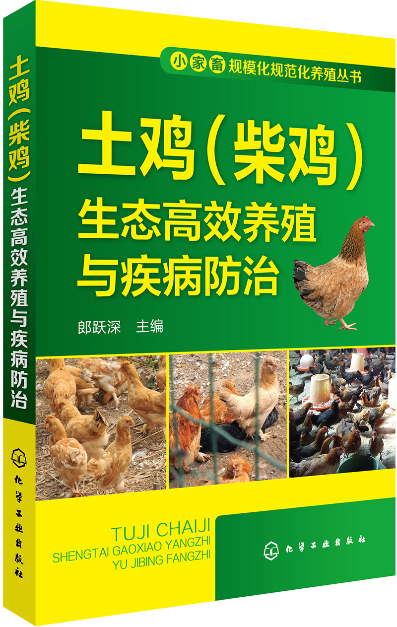 关于肉鸡饲养,养土鸡饲养,,1.24,2,高,培育词的信息
