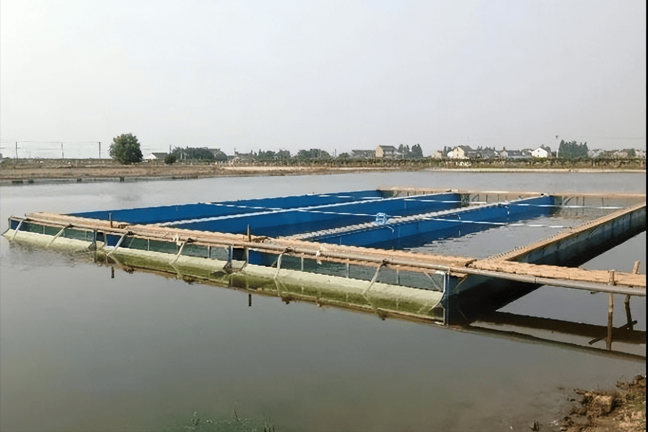 中药水产养殖(水产养殖中草药使用方法及常用处方)