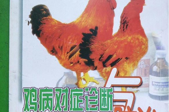 肉鸡养殖疾病(肉鸡的养殖技术及其常见病的诊断与防治书籍)