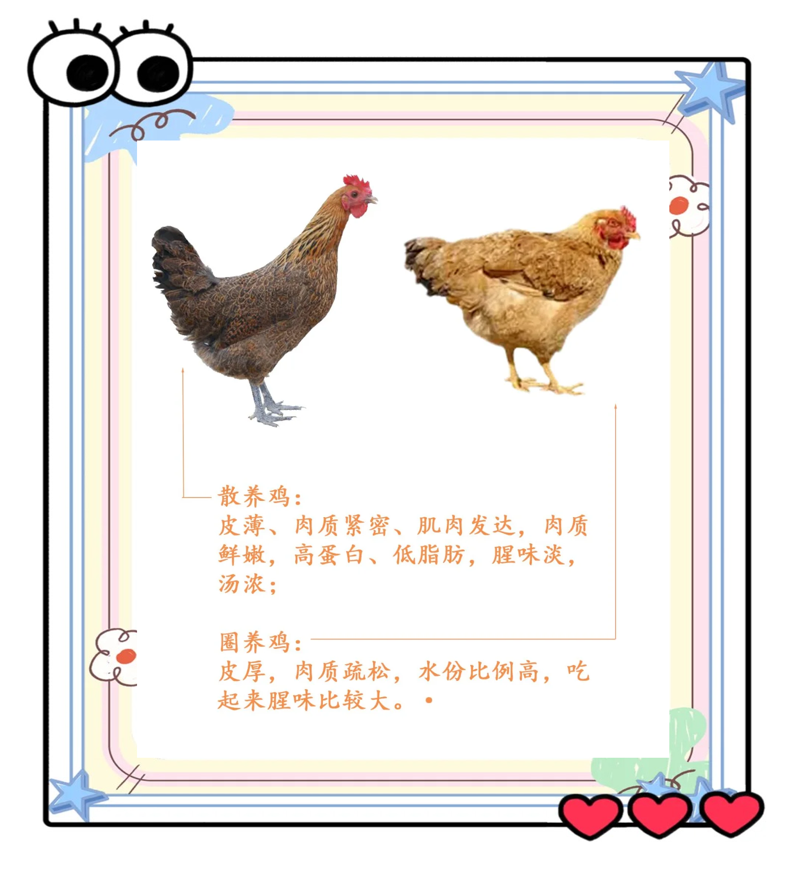 肉鸡饲养,技术散土鸡养殖,,2.56,2,高,技术词的简单介绍