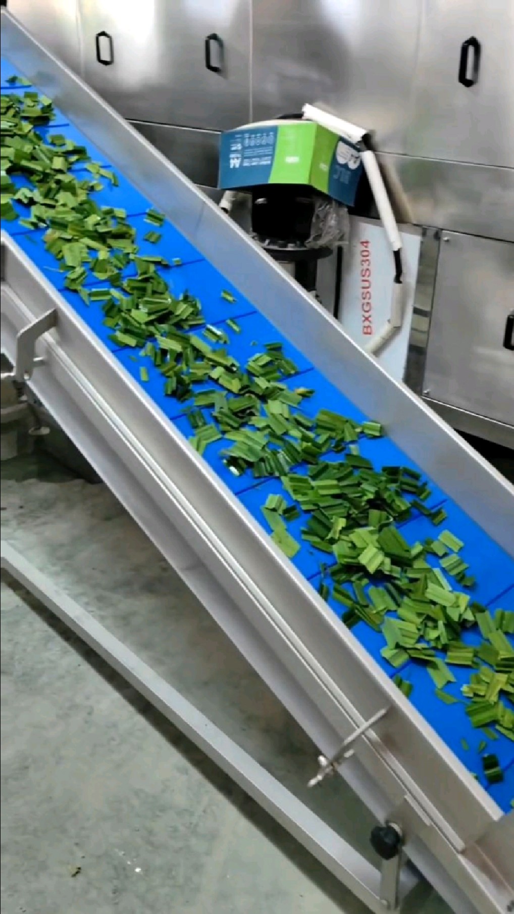 净菜加工技术(净菜加工技术规范最新版)