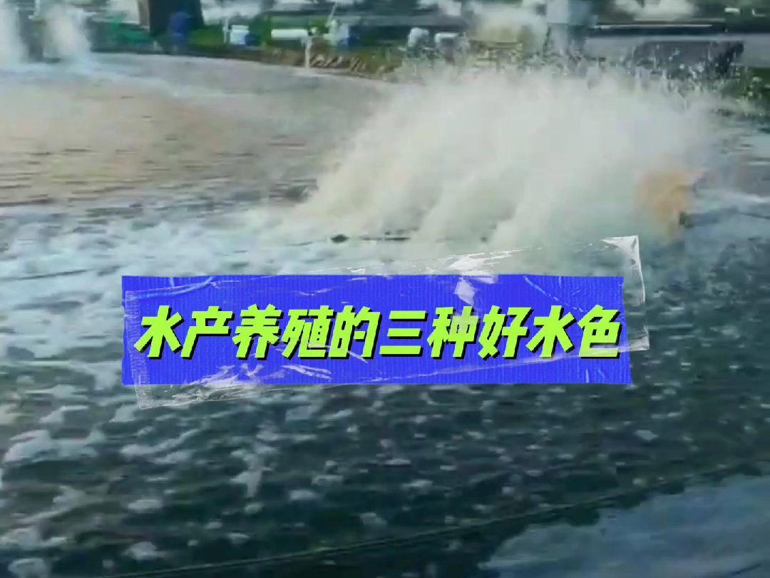 好的水产养殖(水产养殖有哪些品种)