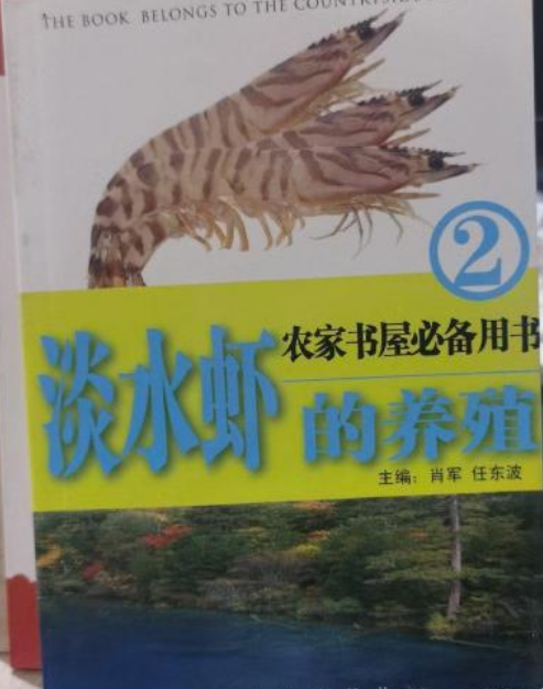 淡水饲养虾实用技术(淡水饲养虾实用技术视频)