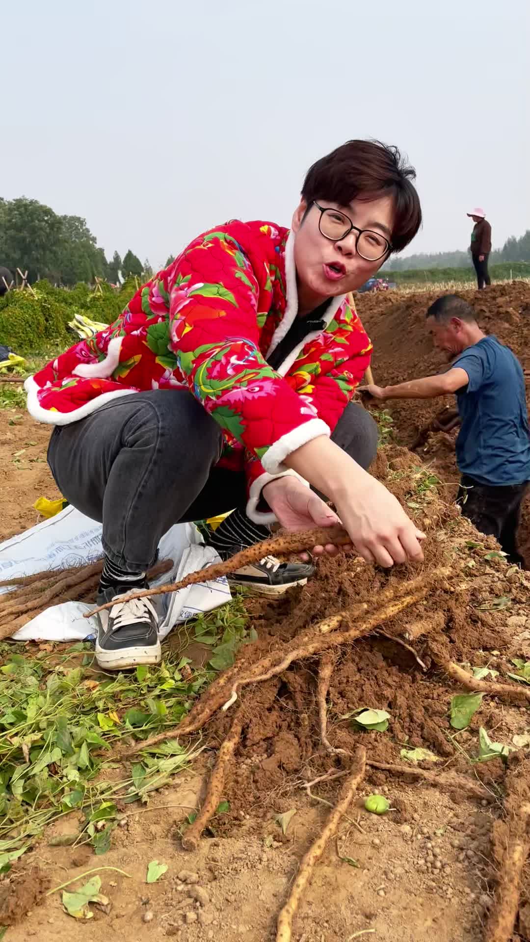 糯米山药的种植方法(糯米山药的种植方法和技术)