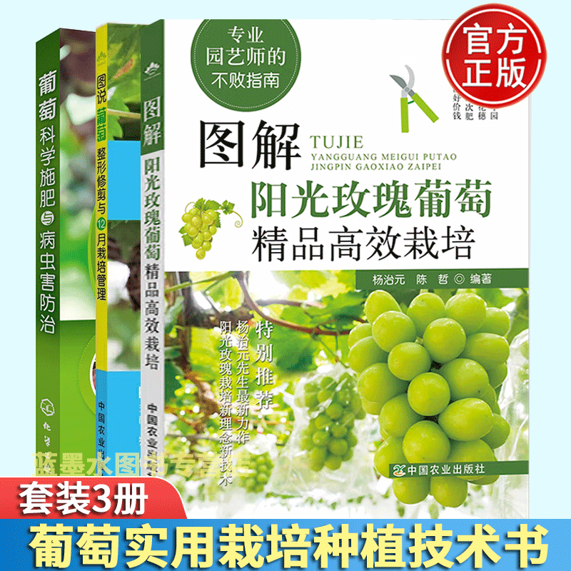 葡萄种植施肥方案(葡萄施肥时间和肥料种类)