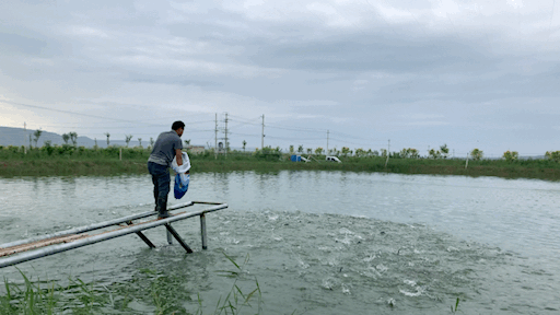 滩涂水产养殖(滩涂水产养殖管理办法)
