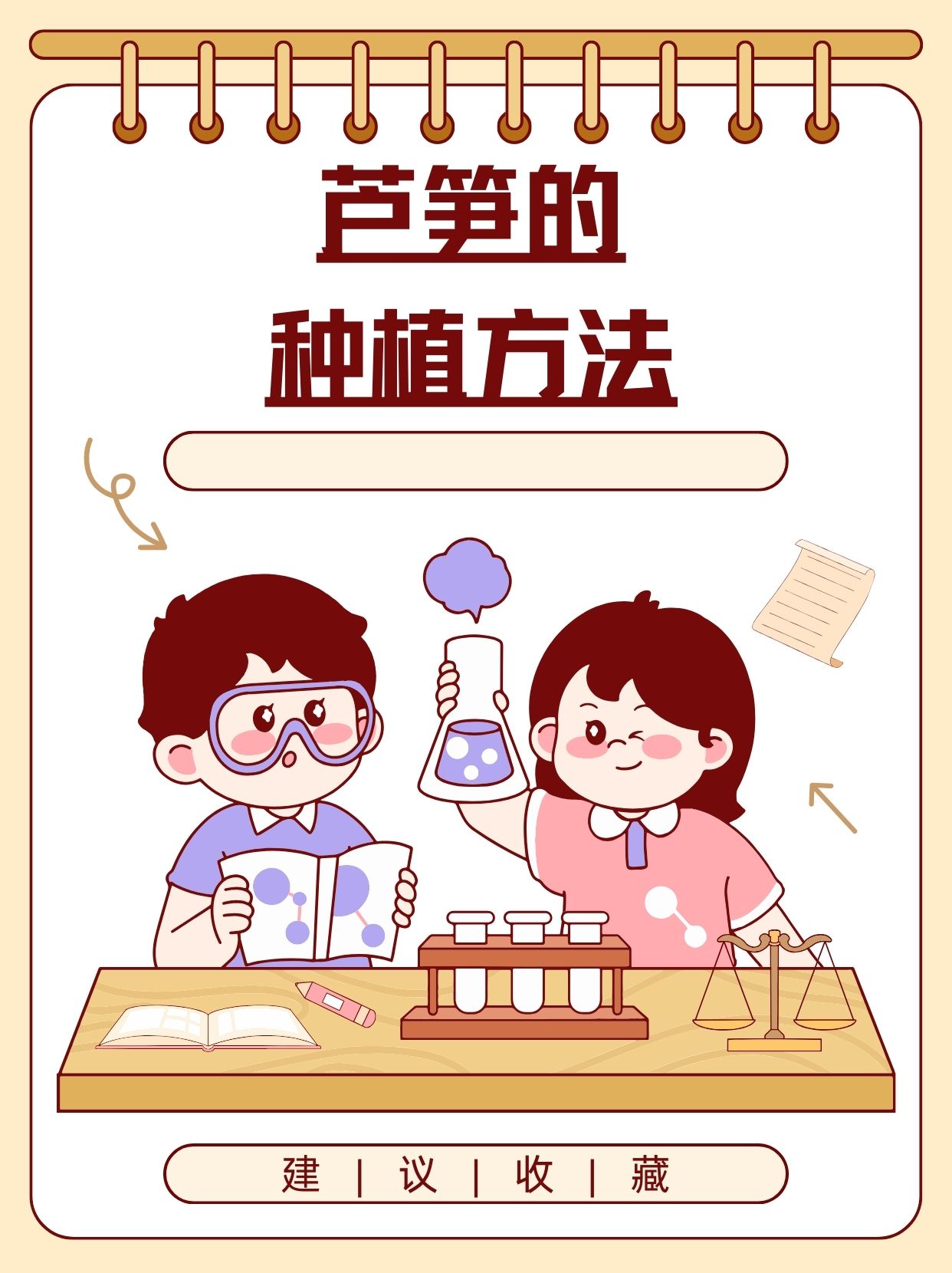 芦笋的种植技术以及栽培(芦笋的高效种植技术及管理要点)