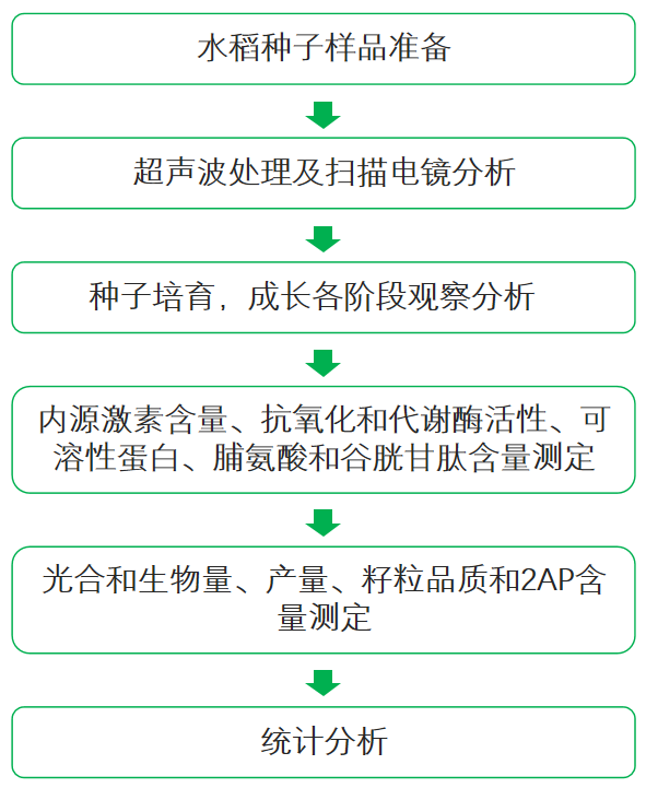 水稻种子分析(水稻种子的选择)