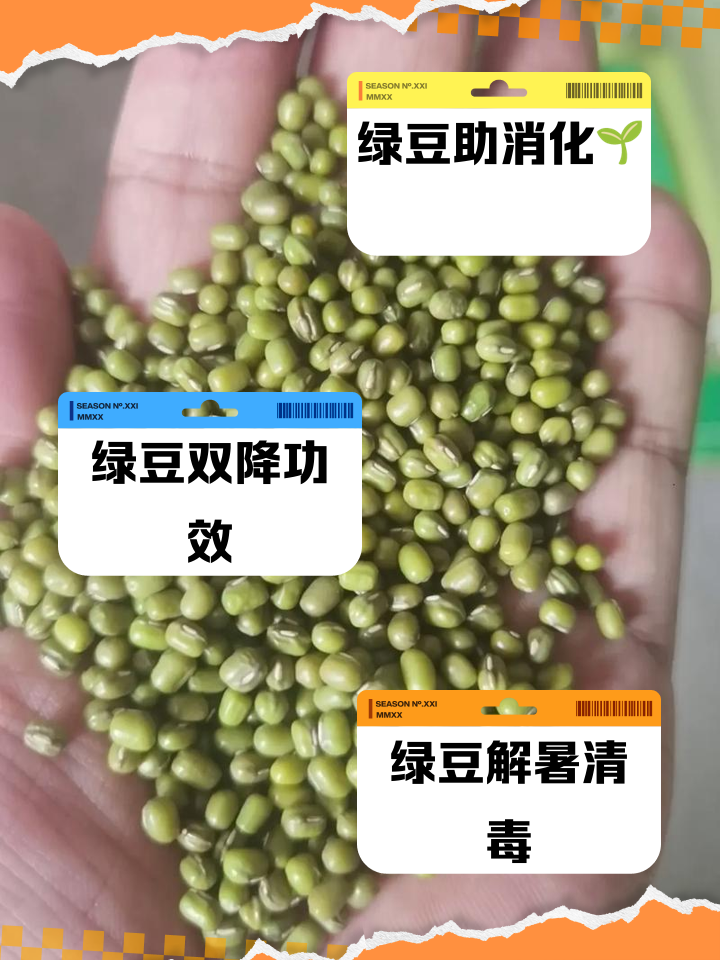 绿豆是转基因的吗(绿豆有转基因的吗有进口的吗)
