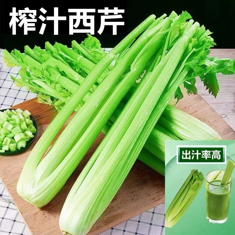 原产地蔬菜(原产地蔬菜配货站怎么干)