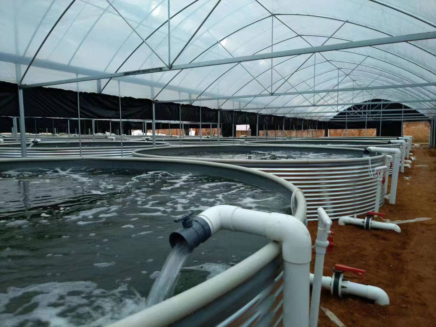 水产养殖哪家好(水产养殖十大品牌)