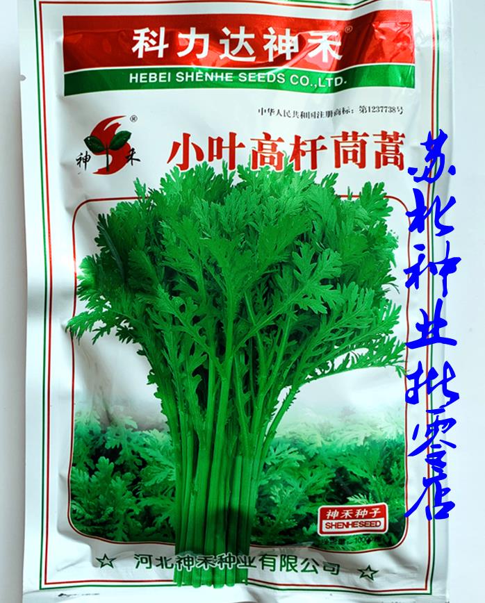茼蒿种子种植(茼蒿种子种植方法教程)
