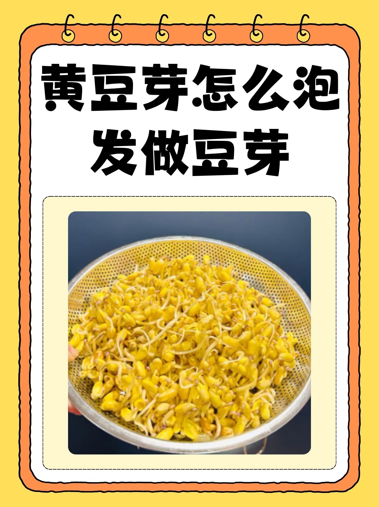 黄豆怎么栽培(黄豆怎么栽培盆景?)