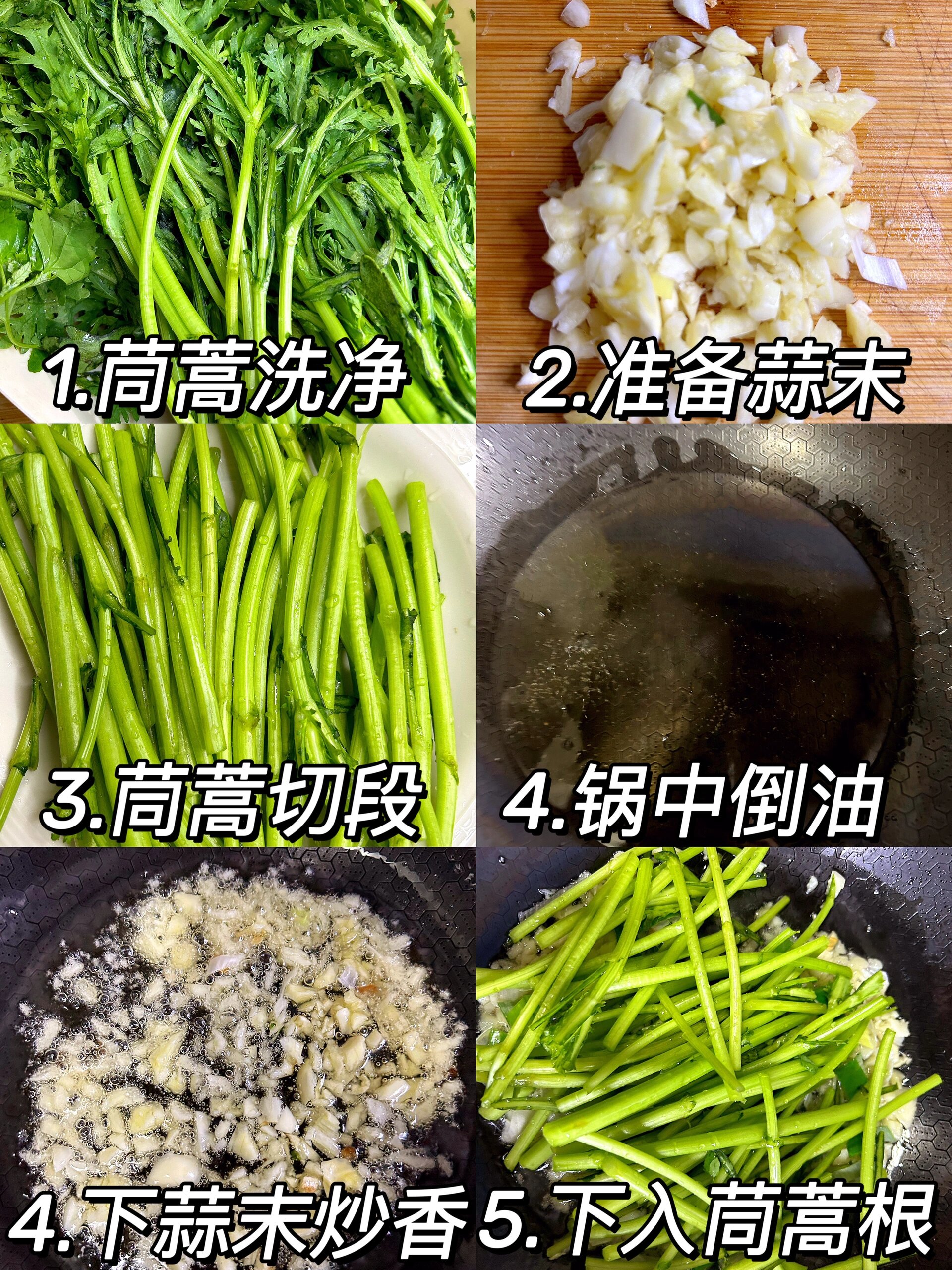 茼蒿怎样种(茼蒿怎样种植)
