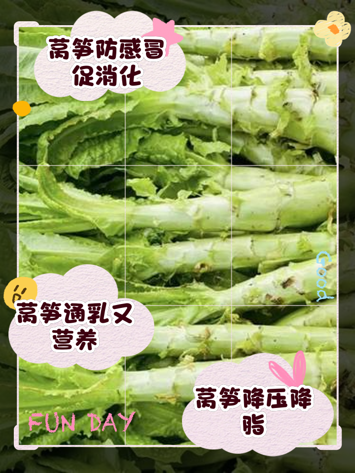莴笋的保存(莴笋的保存最佳方法)