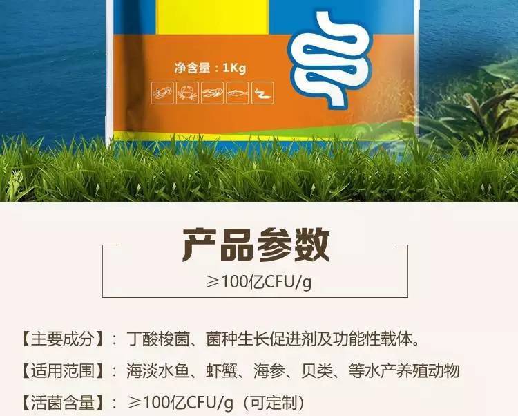 水产养殖丁酸梭菌(水产养殖丁酸梭菌的作用与功效)
