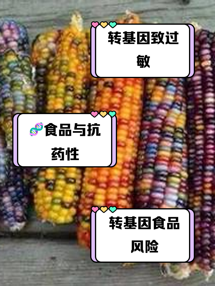 转基因怎么解释(转基因是什么概念)