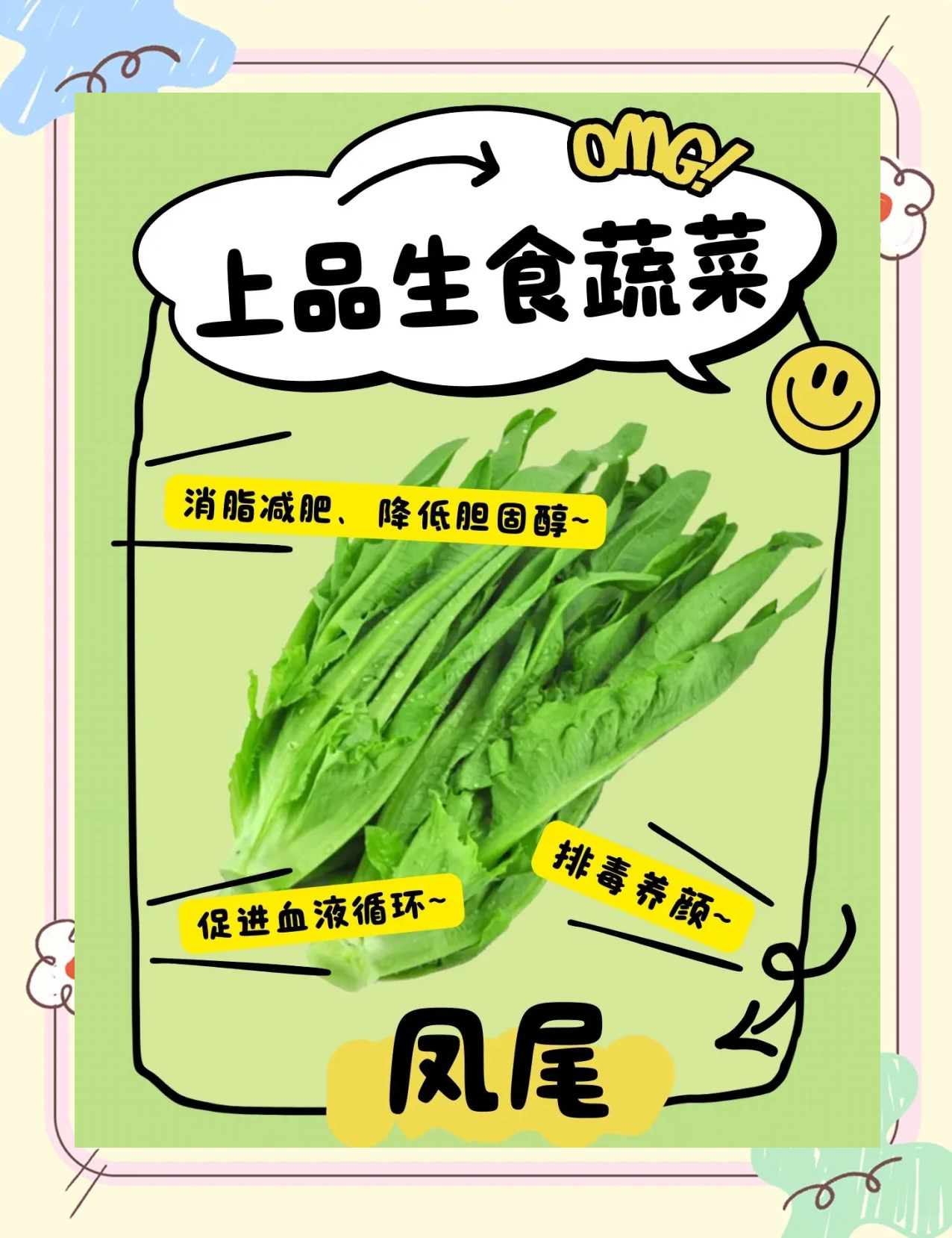 莴苣啥字(莴苣还叫什么菜)