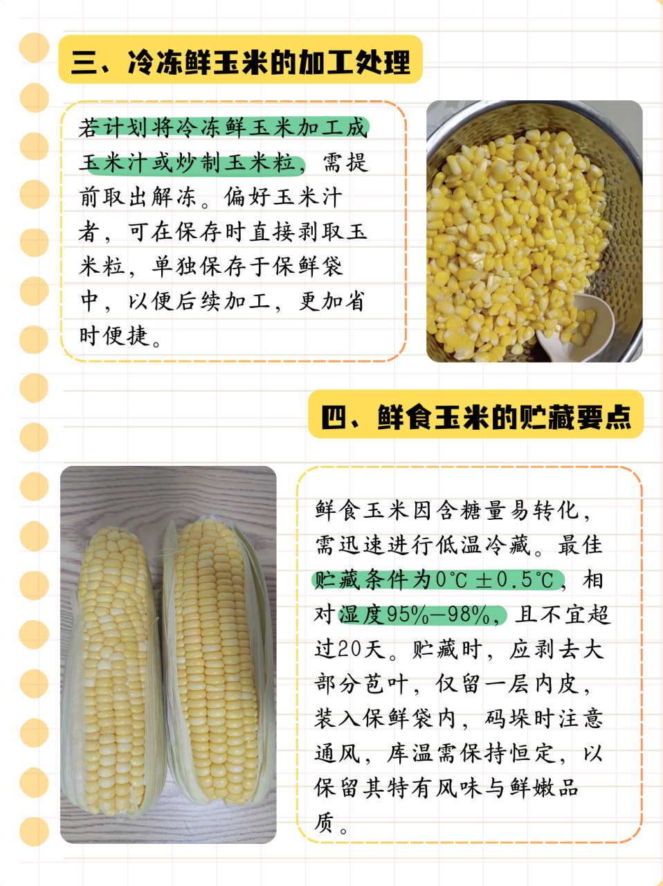 大量的玉米怎么储存(玉米多怎么储存不霉变)