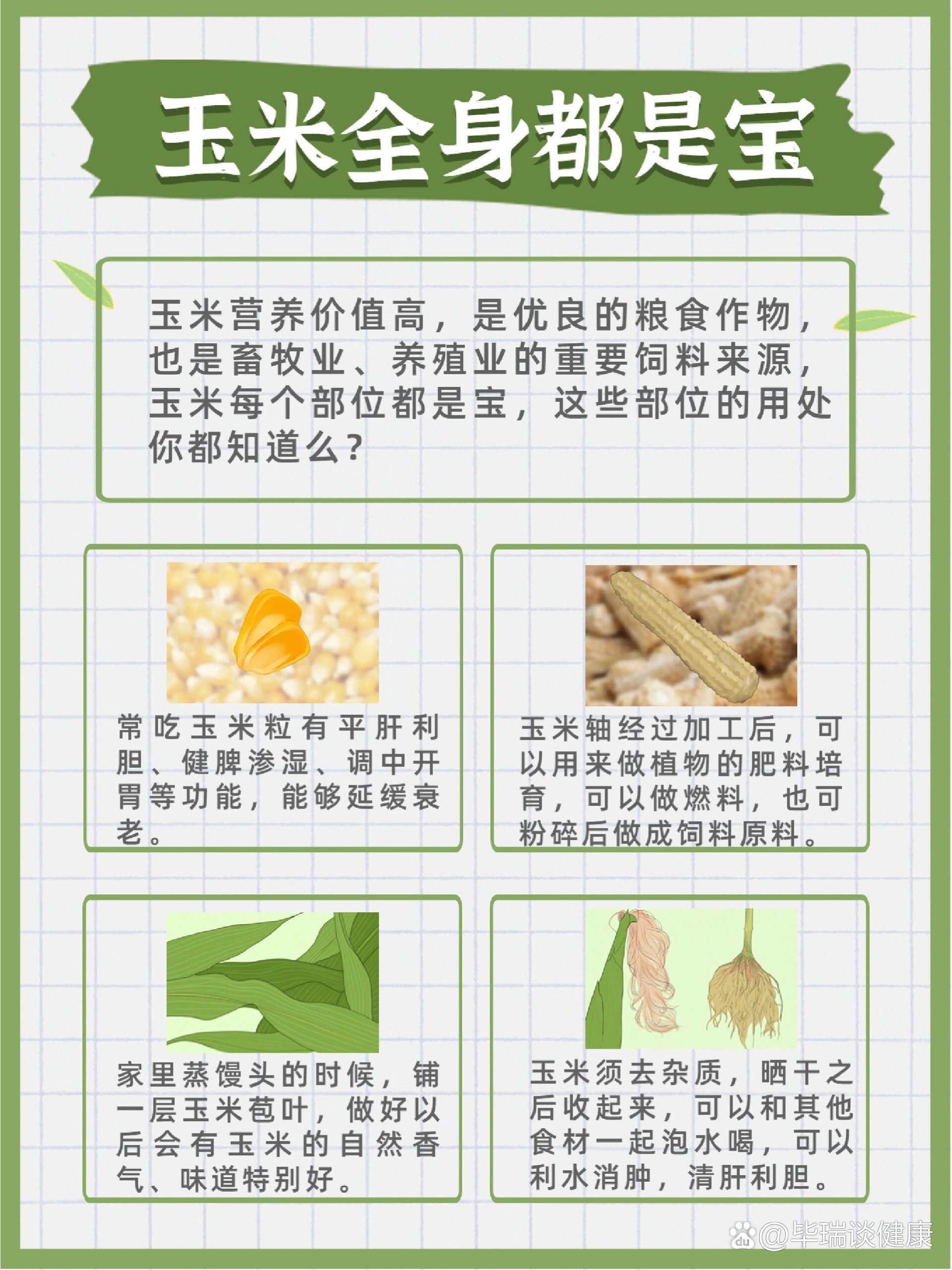 大量的玉米怎么储存(玉米多怎么储存不霉变)