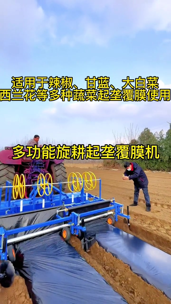 青菜施肥方法(青菜施肥方法视频)