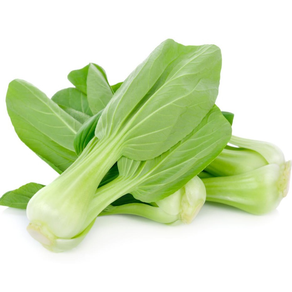 适合夏季种植的青菜(夏季适合种什么青菜?)