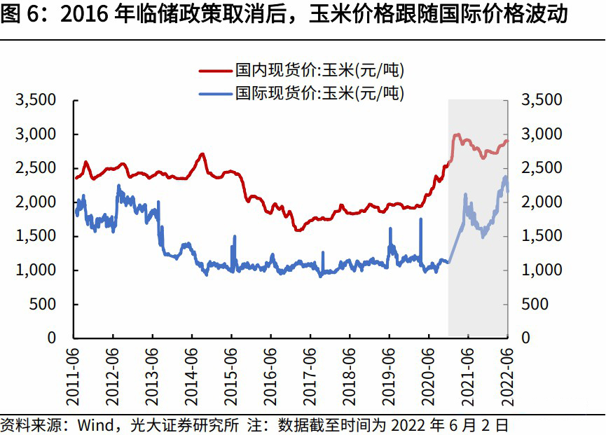 辽阳玉米现在价格表(辽阳玉米现在价格表行情)