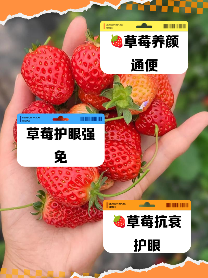 乳房可以种草莓吗(女生胸部能种草莓吗)