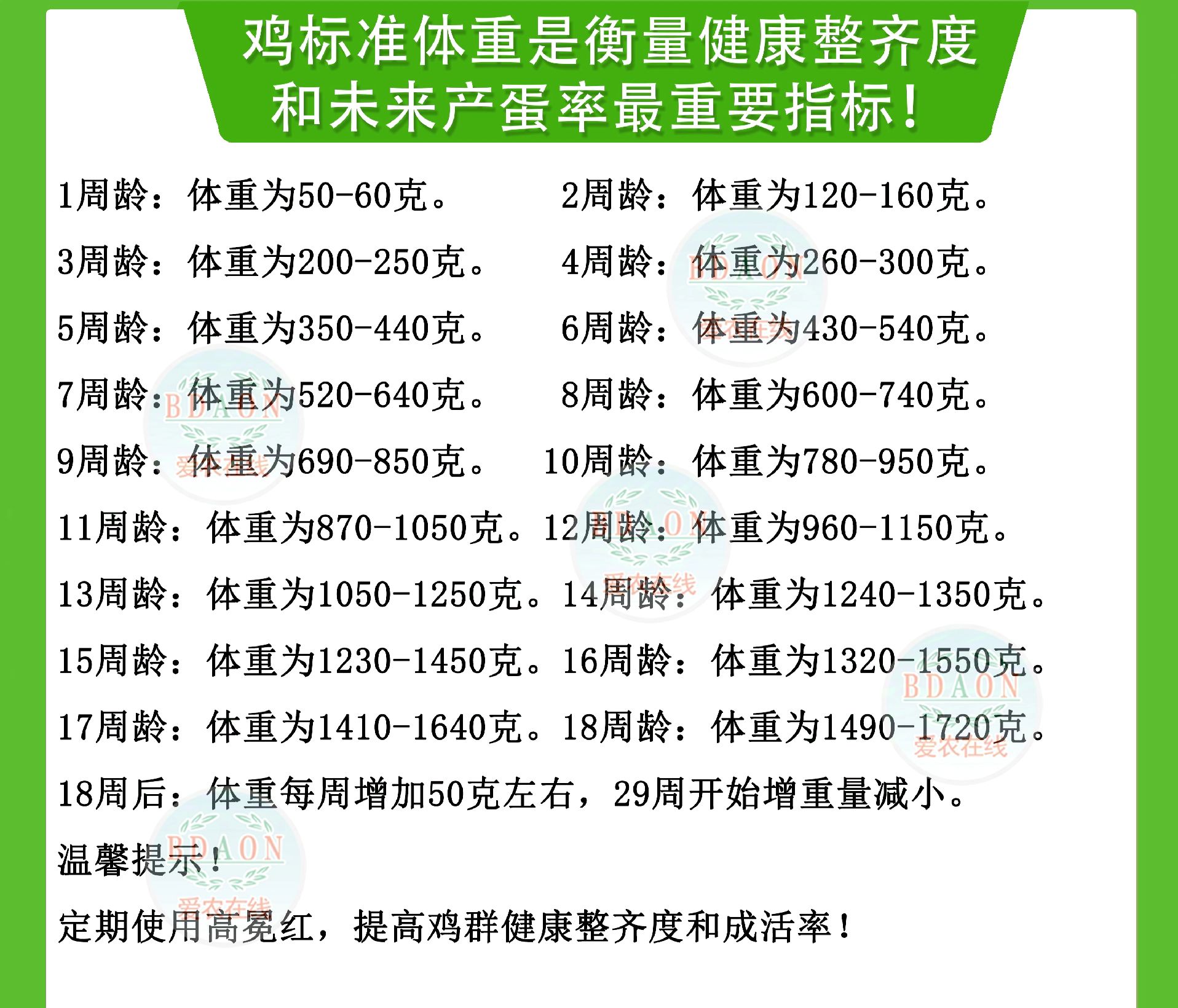 关于肉鸡饲养,关于鸡鸭猪鱼混合养殖,,1.24,2,低,培育词的信息