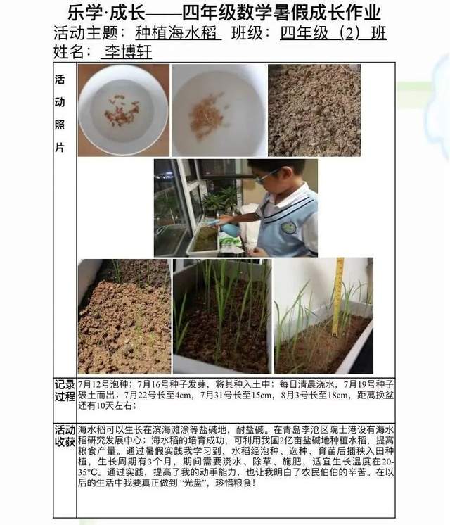 稻谷的种植过程(稻谷的种植过程及节气时间)