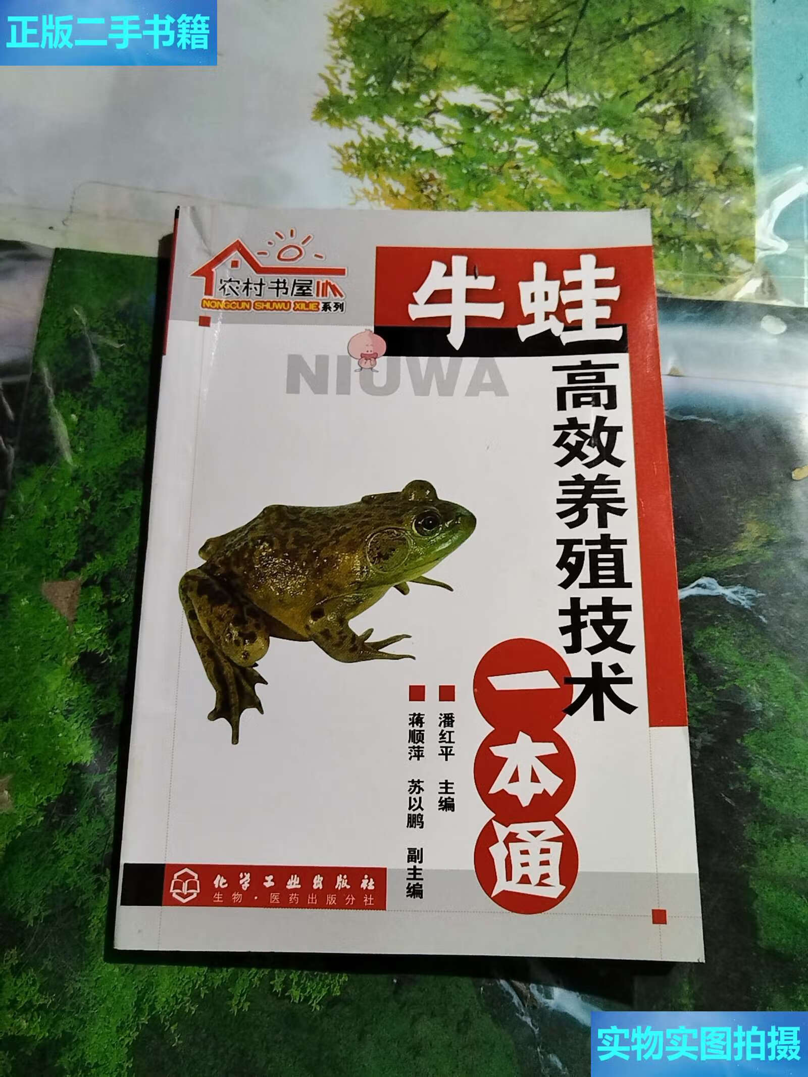 小牛蛙养殖技术(小牛蛙养殖技术视频)