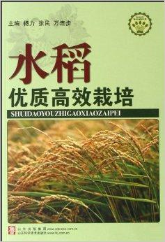 水稻种植书籍(水稻种植书籍加光盘)