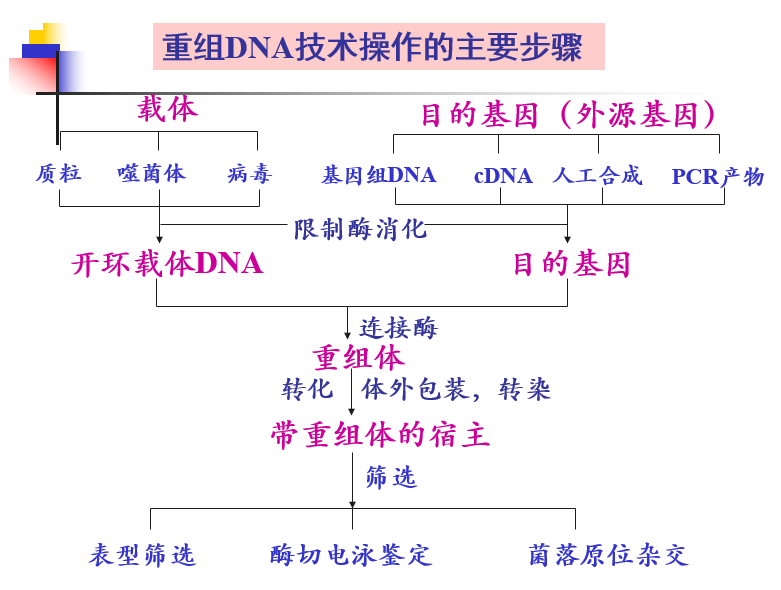 转基因技术的概念(转基因技术的概念及其应用)