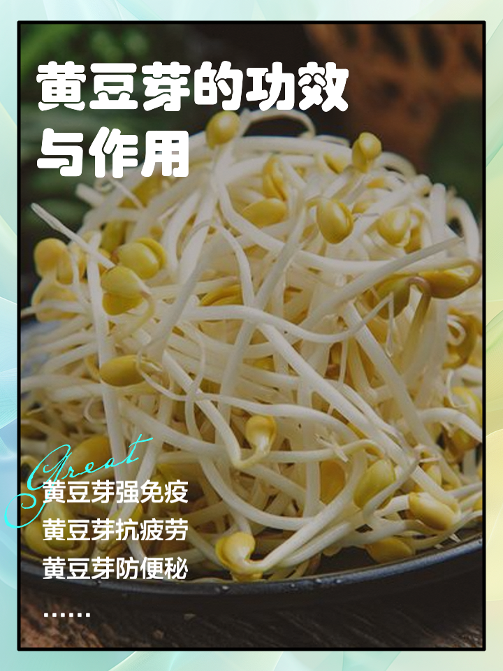 怎样培育黄豆芽(黄豆怎么培育黄豆芽)