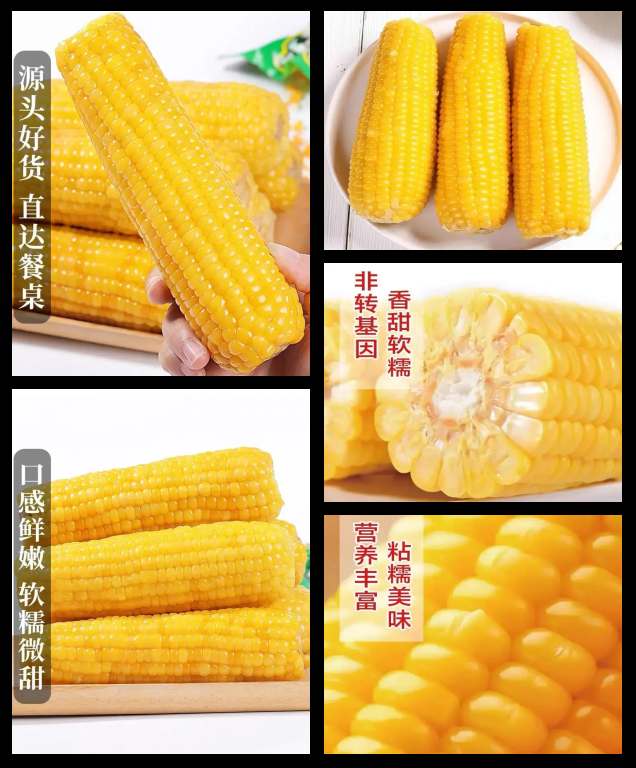 哪种玉米通便效果好(哪种玉米通便效果好些)