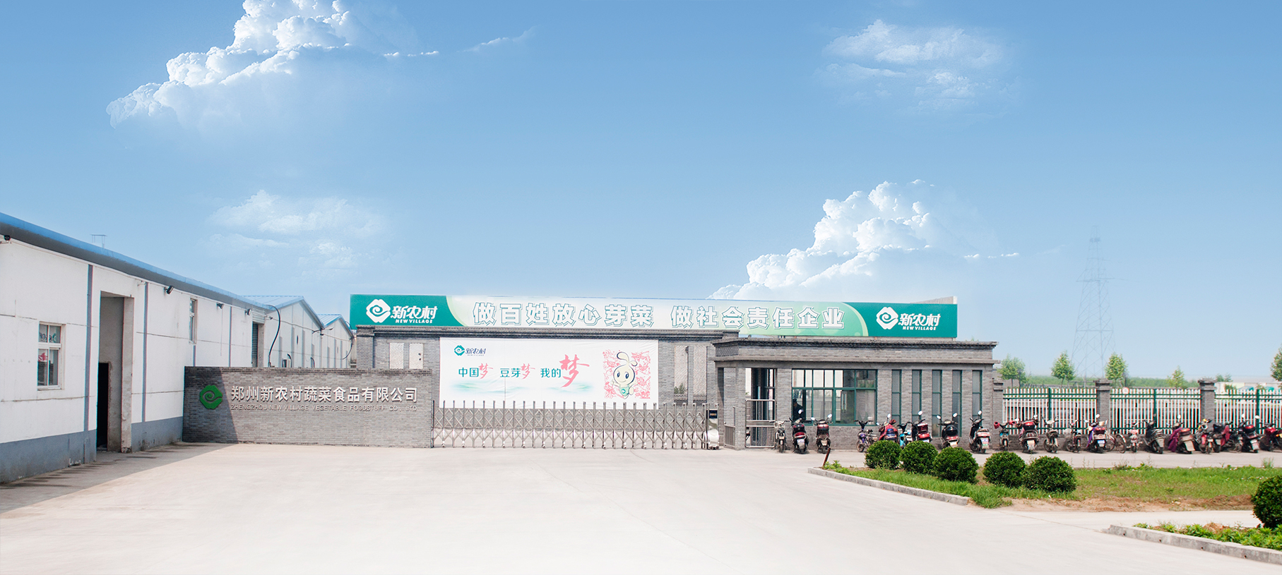 蔬菜食品有限公司(蔬菜食品有限公司经营范围)
