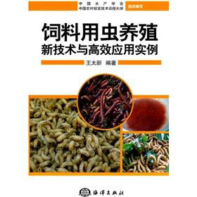 的蝎子饲养技术(蝎子饲养与管理的视频)