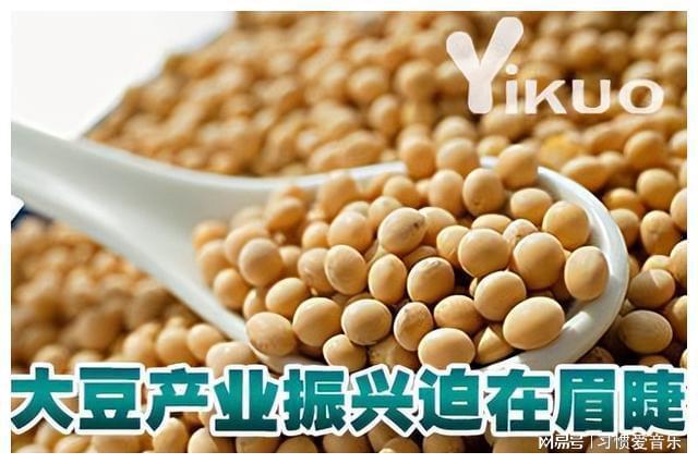 中国的大豆是转基因的吗(中国的大豆是转基因的吗知乎)